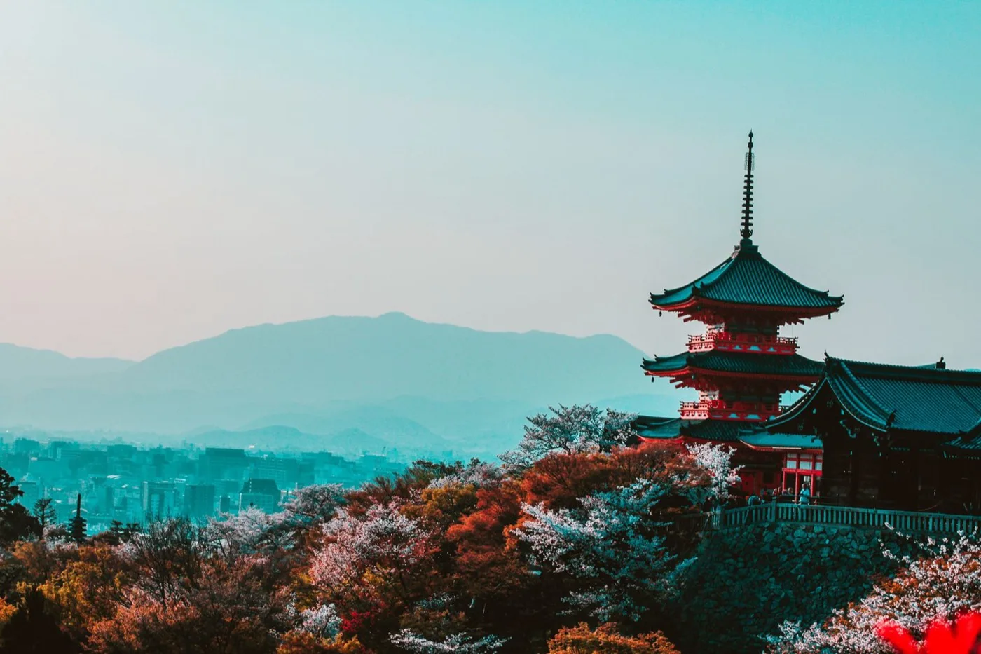 Kiyomizu-dera Temple with cherry blossoms in Kyoto