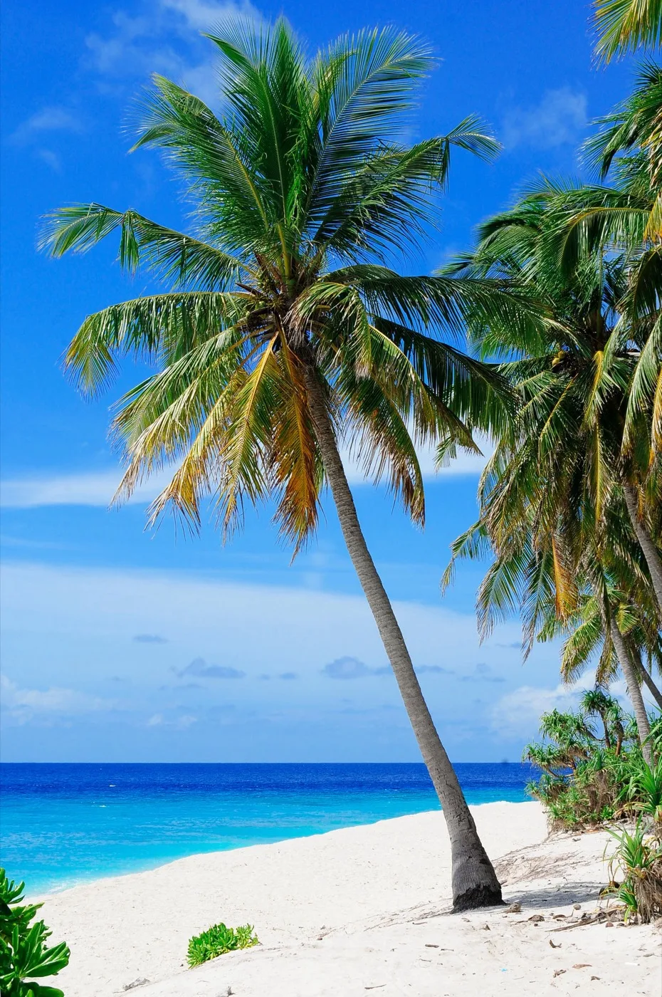 Tropical beach and turquoise water along the Thai Andaman coast
